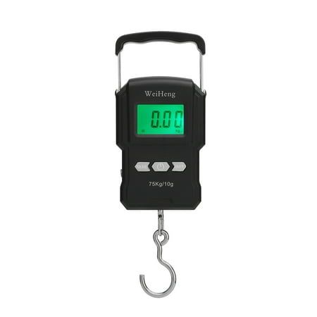 Electronic Digital Scale